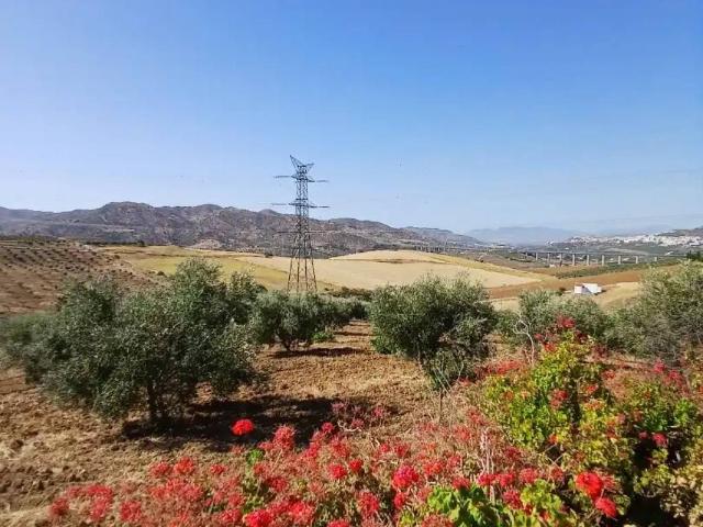 Terreno en Venta en Álora