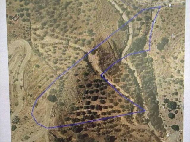Terreno en Venta en Álora