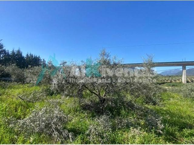 Terreno en Venta en Álora