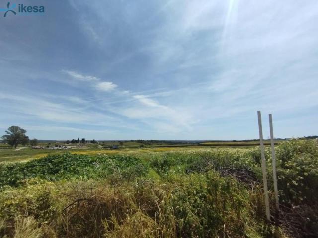 Terreno en venta en Alosno, Sin Zona