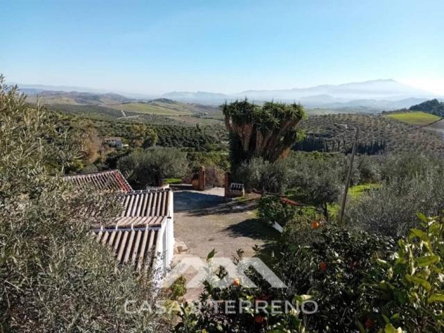 Terreno en Venta en Alozaina