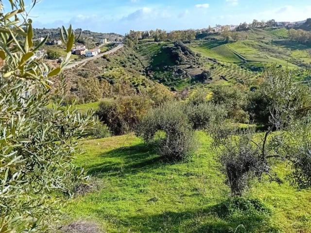 Terreno en Venta en Alozaina