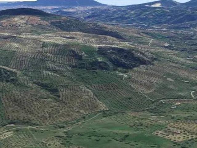 Terreno en Venta en Alozaina