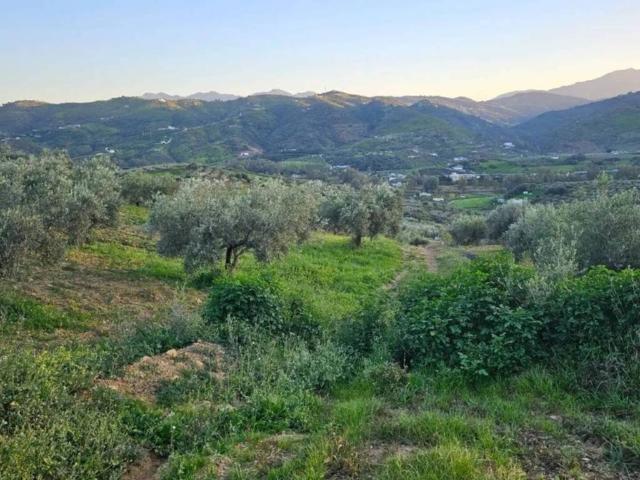 Terreno en Venta en Alozaina