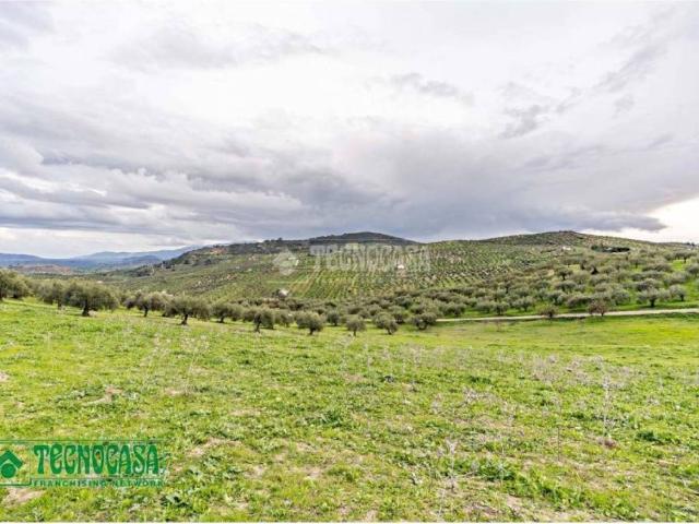 Terreno en Venta en Alozaina