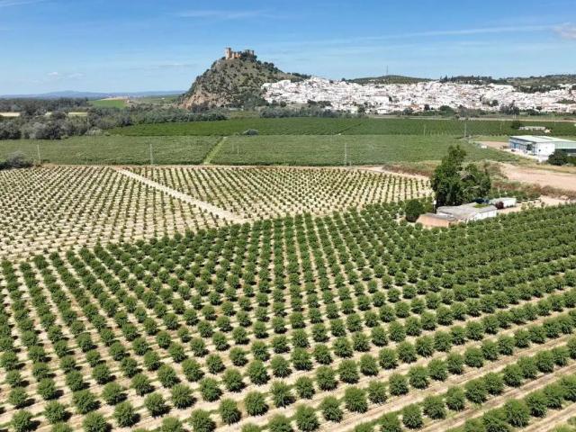 Terreno en Venta en Almodóvar del Río