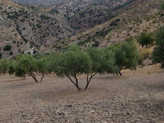 Terreno en Venta en Almogía