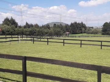 TERRENO EN VENTA EN ALMOLOYA DE JUAREZ