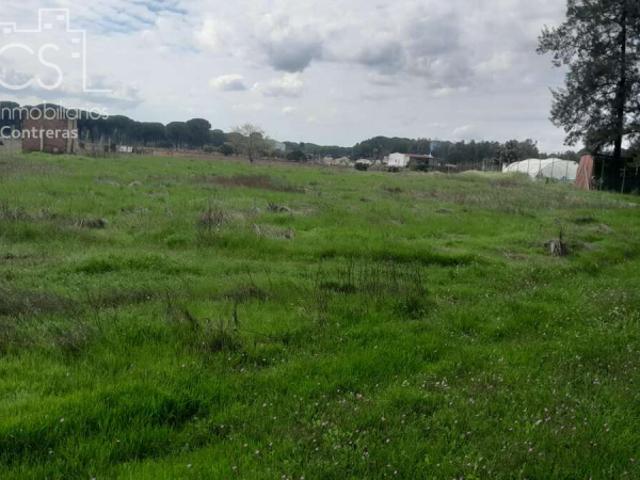 Terreno en venta en Almonte