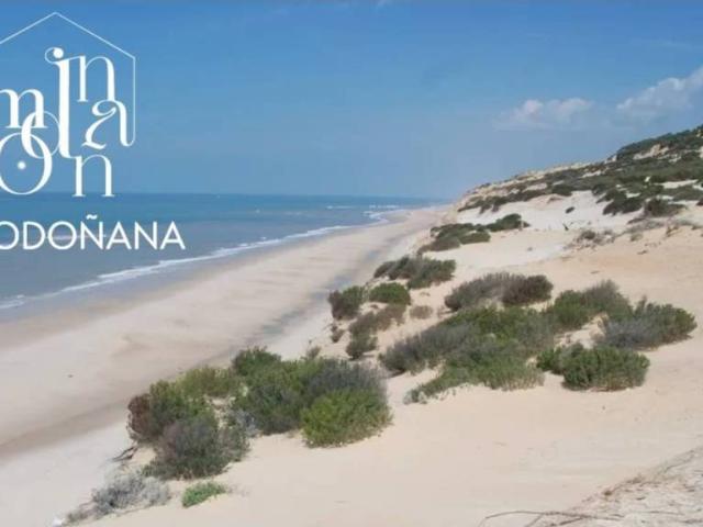 Terreno en Venta en Almonte