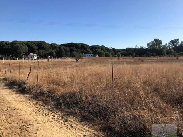 Terreno en Venta en Almonte