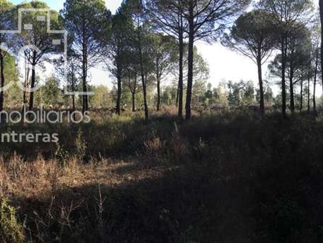 Terreno en venta en Almonte, Colonia