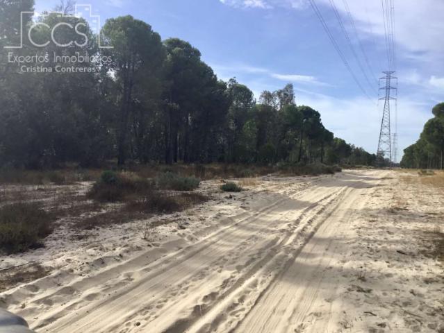 Terreno en venta en Almonte, Colonia