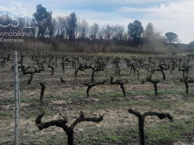 Terreno en venta en Almonte, Paraje la Teja