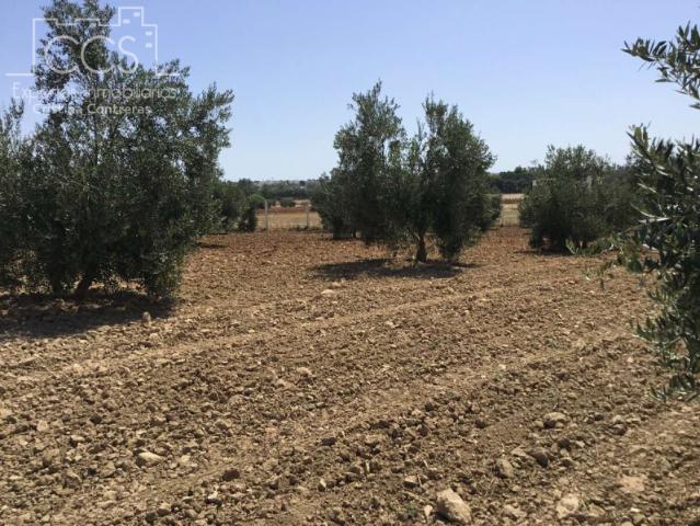 Terreno en venta en Almonte, La Isla