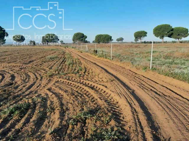 Terreno en venta en Almonte, La Isleta