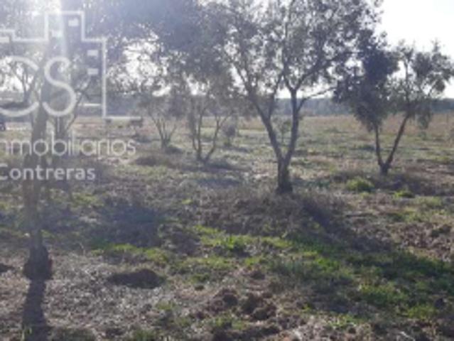 Terreno en venta en Almonte, Paraje el Porretal
