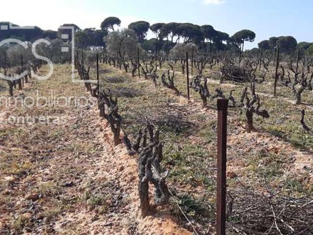 Terreno en venta en Almonte, Paraje Pinar Jurado
