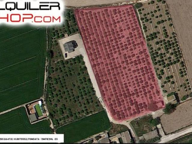Terreno en venta en Almoradi, Saladar