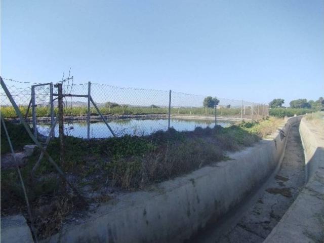 Terreno en Venta en Almoradí