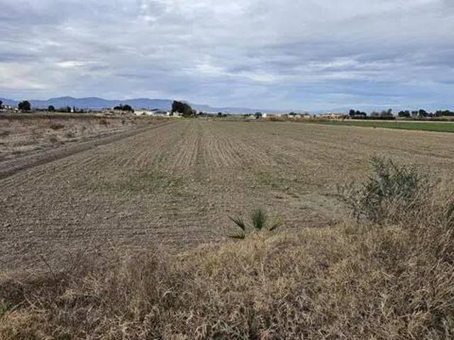 Terreno en Venta en Almoradí