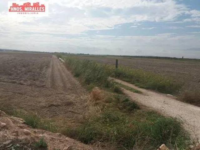 Terreno en Venta en Almoradí