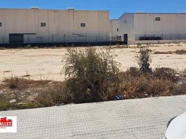 Terreno en Venta en Almoradí