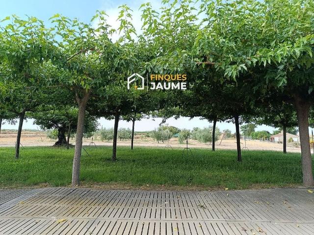 Terreno en venta en Almacelles, de 18.000 m² por 120.000