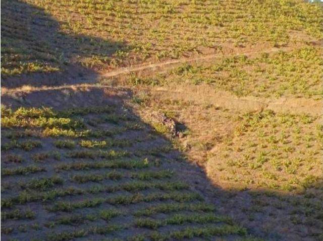 Terreno en Venta en Almáchar