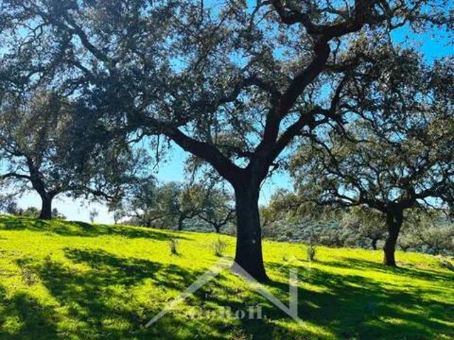 Terreno en Venta en Almadén de La Plata