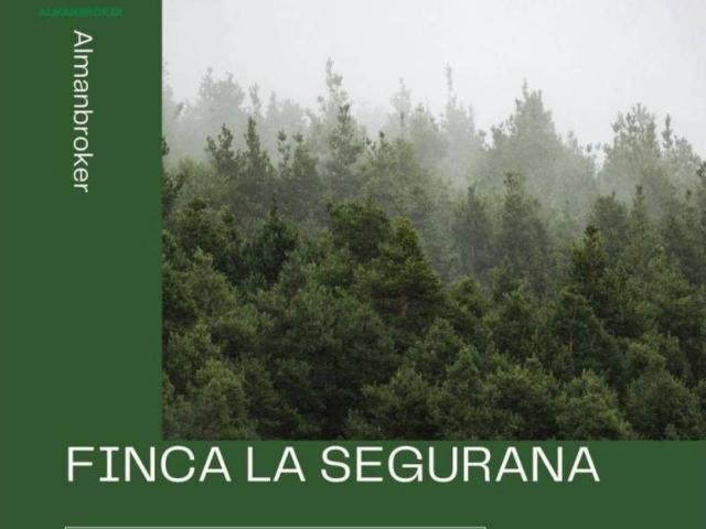 Terreno en Venta en Almansa