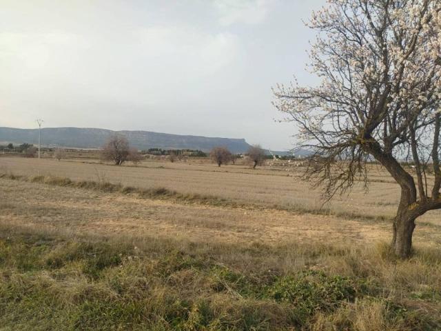 Terreno en Venta en Almansa