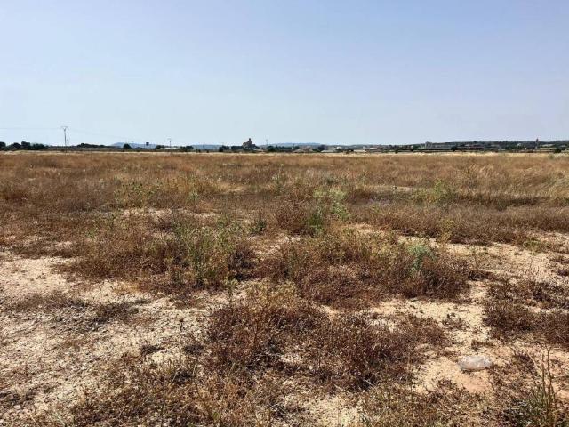 Terreno en Venta en Almansa
