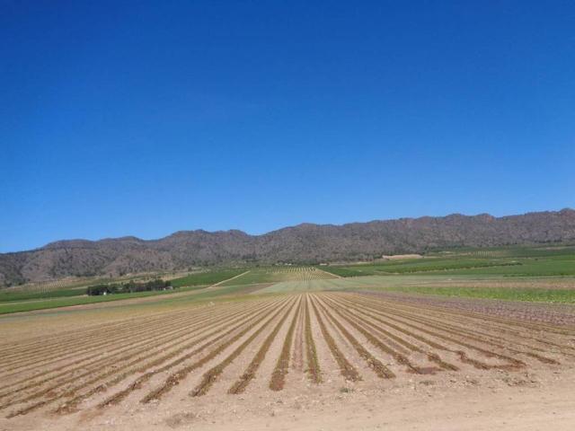 Terreno en Venta en Almansa