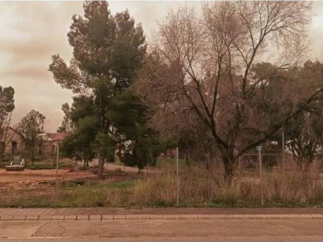 Terreno en Venta en Almansa