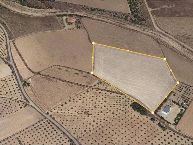 Terreno en Venta en Almansa