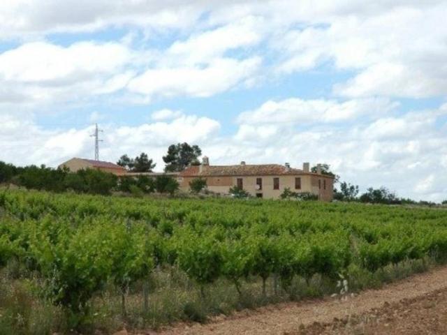 Terreno en Venta en Almansa