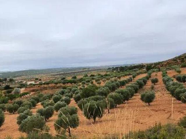Terreno en Venta en Almansa