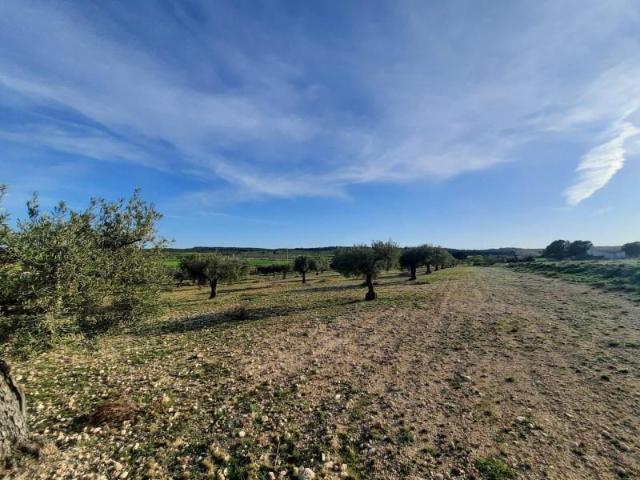 Terreno en venta en Almansa, Cantoblanco