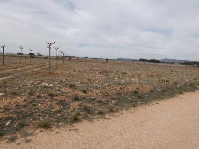 Terreno en venta en Almansa, Almansa