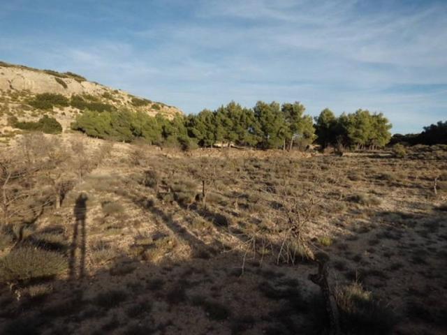Terreno en venta en Almansa, Almansa