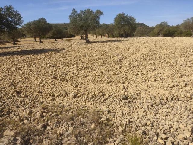 Terreno en venta en Almansa, Los Espetones