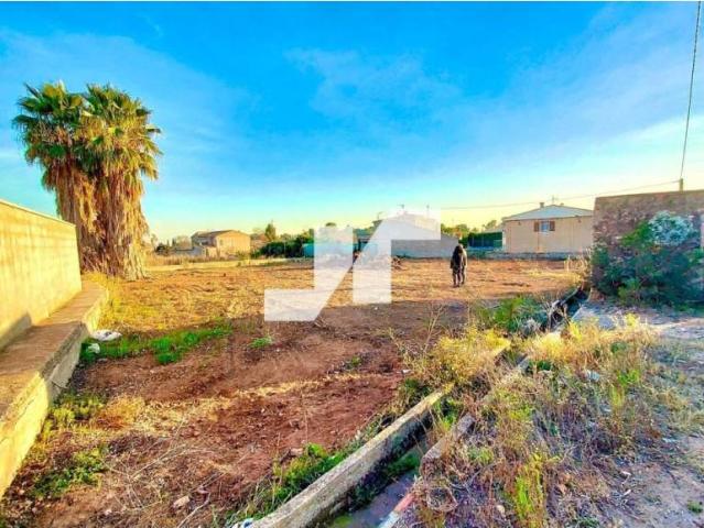 Terreno en Venta en Almassora