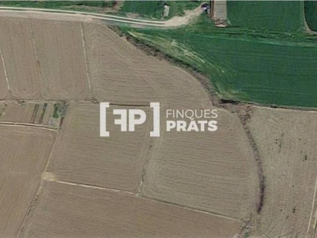 Terreno en Venta en Almenar