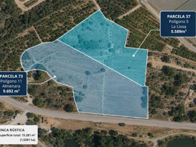 Terreno en Venta en Almenara