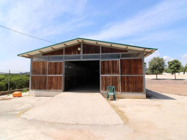 Terreno en Venta en Almenara