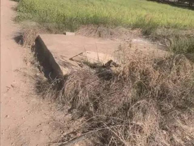 Terreno en Venta en Almenara
