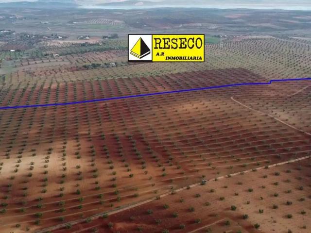 Terreno en Venta en Almendralejo