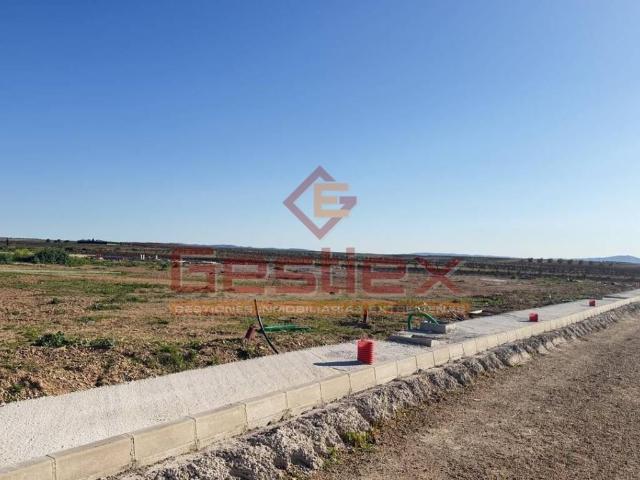 Terreno en Venta en Almendralejo