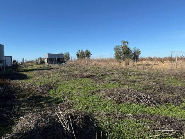 Terreno en Venta en Almendralejo